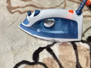 13000w Premium Steam Iron