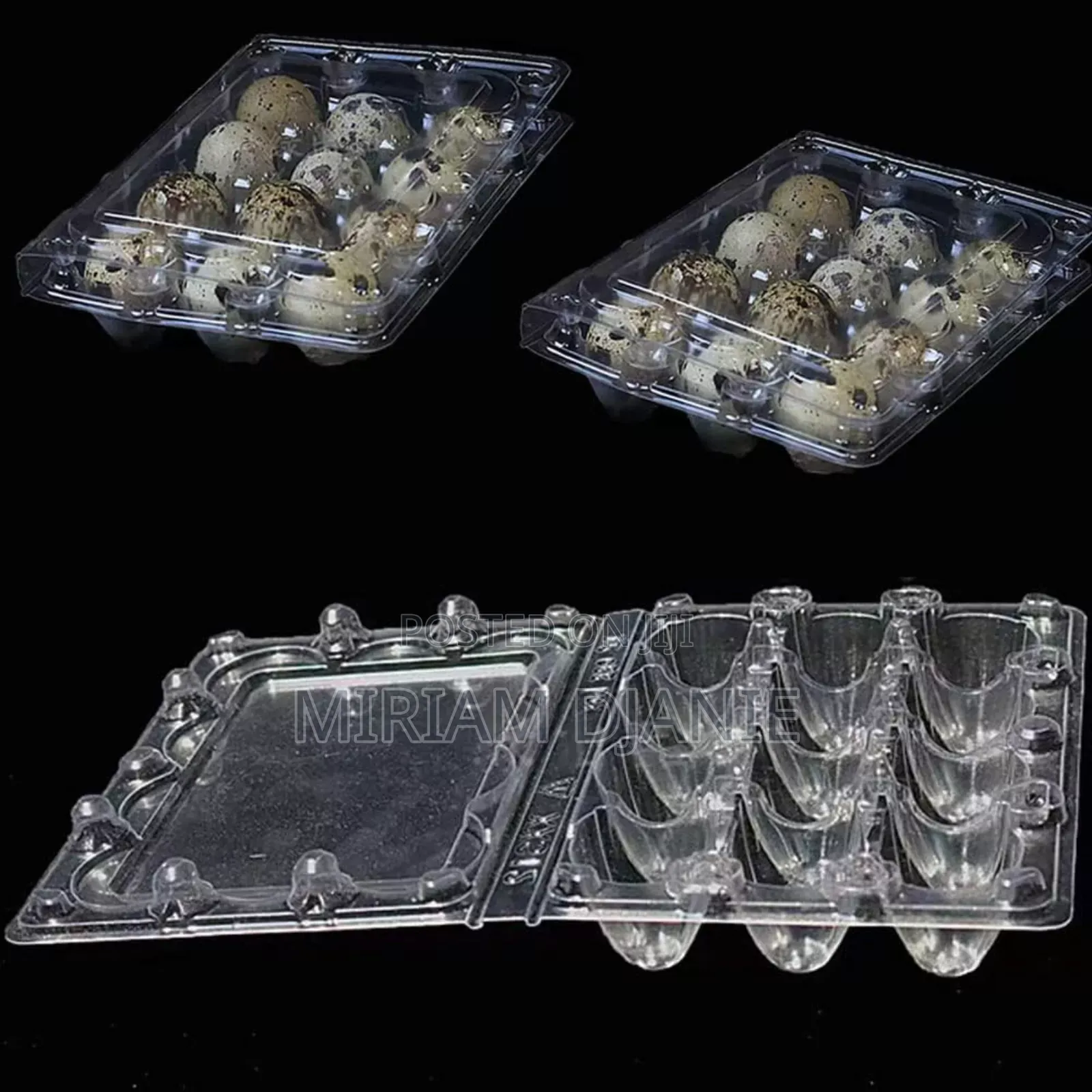 Transparent Quail Egg Crates