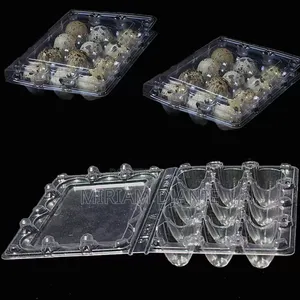 Transparent Quail Egg Crates
