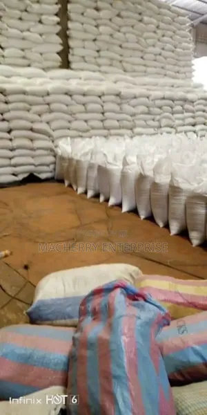 White/ Yellow Maize/Sheanut/Groundnut/Paste Available for Sale