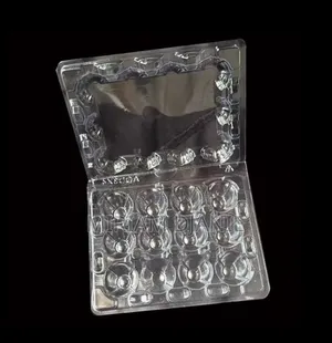 Transparent Quail Egg Crates