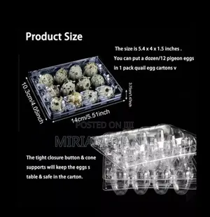 Transparent Quail Egg Crates