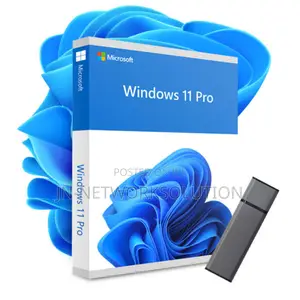Windows 11 Professional Key For 10 Pc (64-bit)