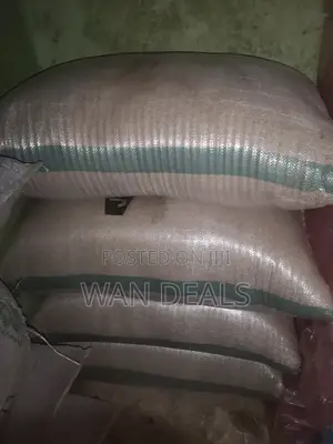 Millet 100kg in Stock (Available in Big Sack)