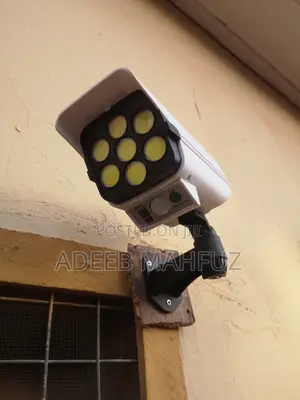 Solar Motion Sensor Security Light