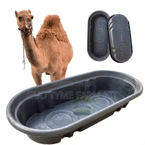 Cow and Camel Bowl