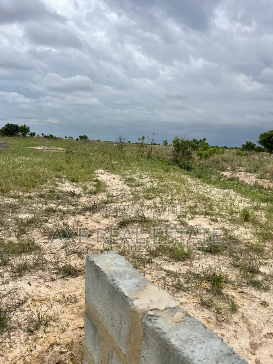 Best Reduction Deals on Lands. Half Plot