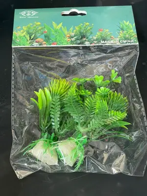 Mini Aquarium Plants