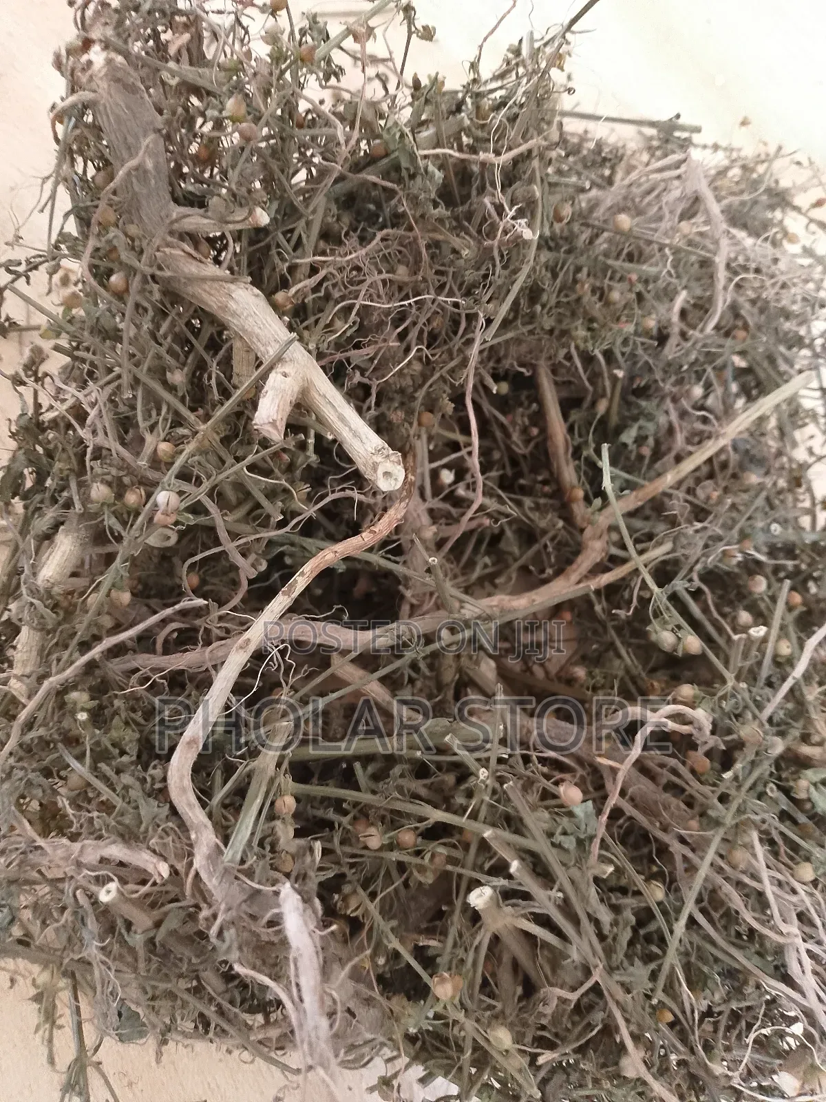 Fresh 40ghc and Dried Plants ( 60ghc Upward ) Are Available