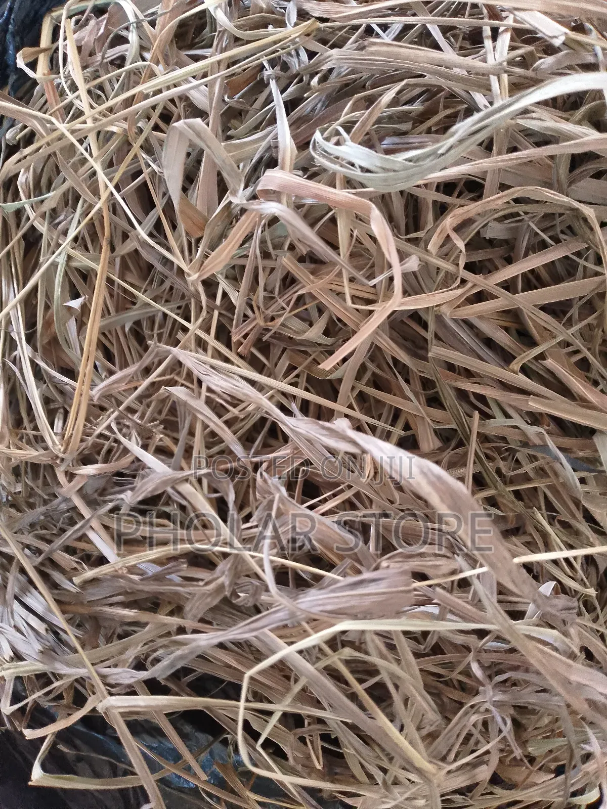 Fresh 40ghc and Dried Plants ( 60ghc Upward ) Are Available