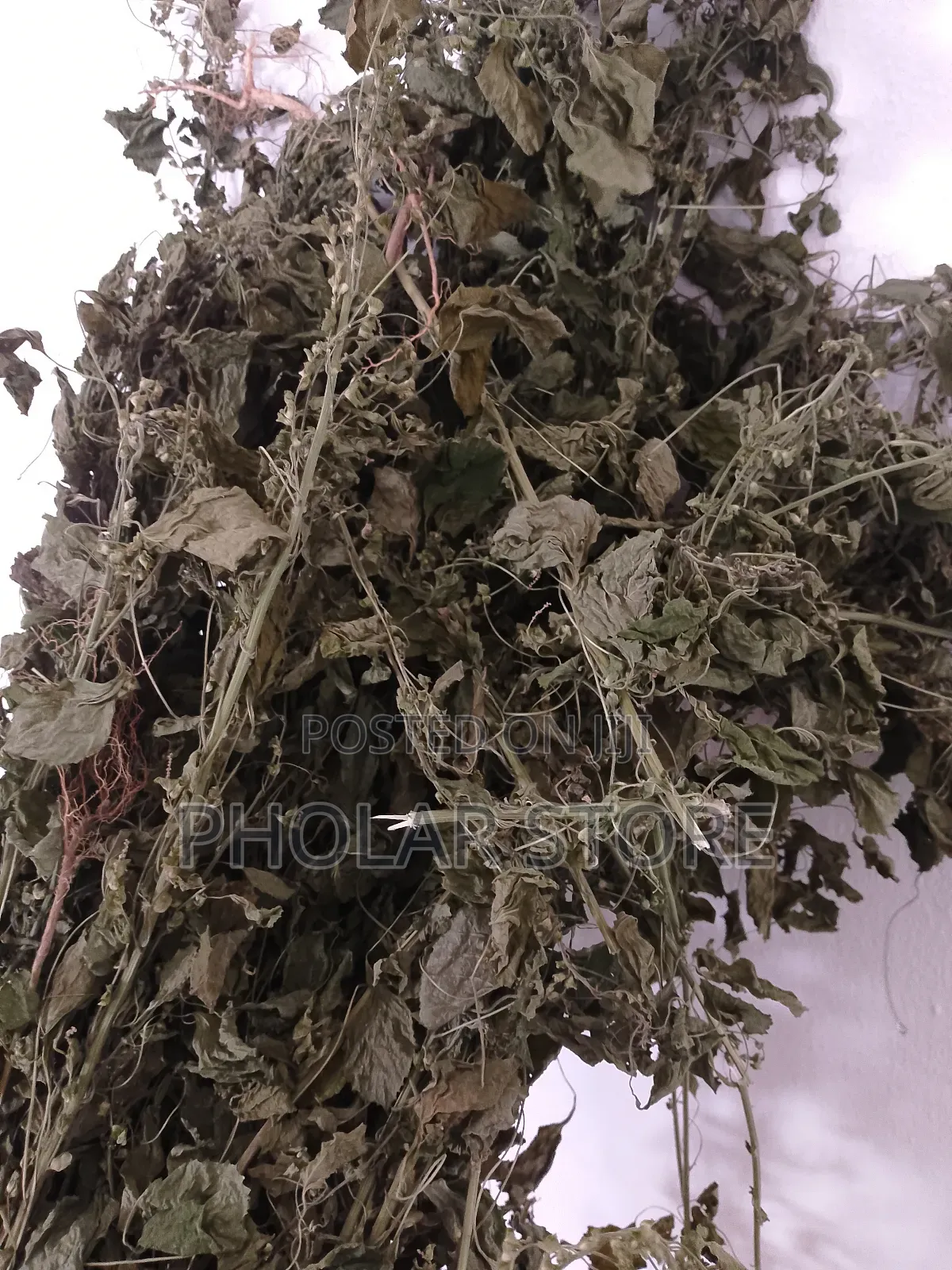 Fresh 40ghc and Dried Plants ( 60ghc Upward ) Are Available