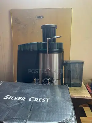 Electric Juicer