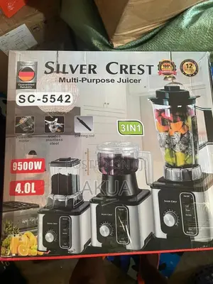 3in 1 Blender