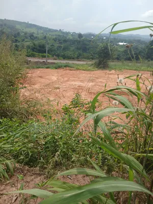 Roadside Land for Sale in Hohoe