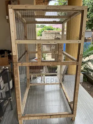 Big Bird Cage