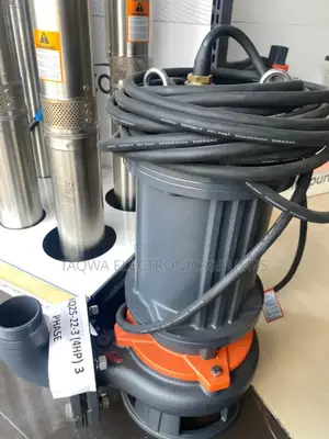 Typically Leo Sewage Pump 4hp 3 Phase