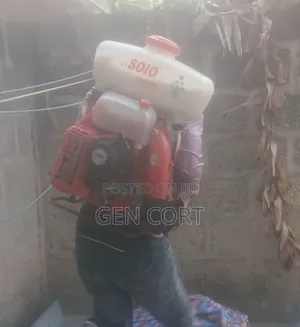 Insects Fumigation