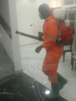 Fumigate Against Bedbugs