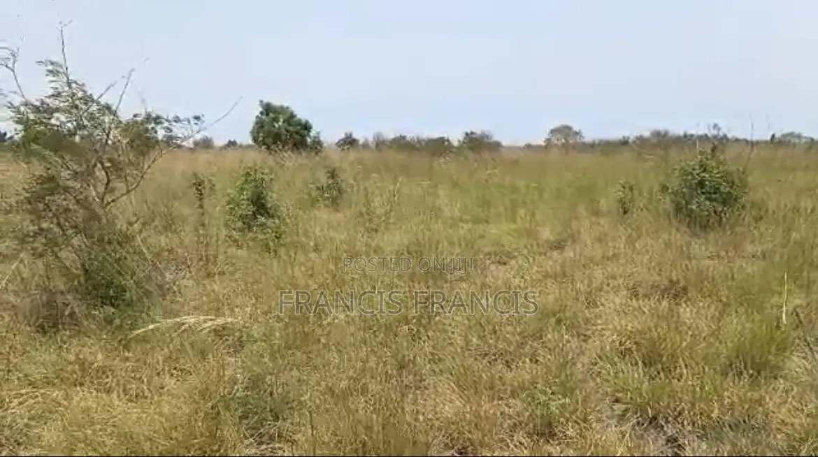 8 Plots of Land for Sale-Paradise City, Central University