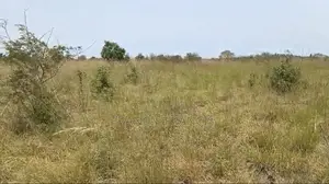 8 Plots of Land for Sale-Paradise City, Central University
