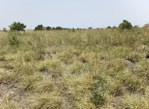 8 Plots of Land for Sale-Paradise City, Central University