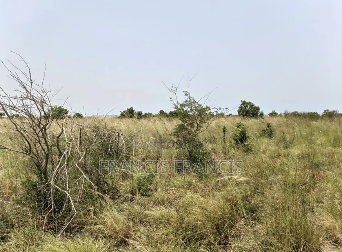 8 Plots of Land for Sale-Paradise City, Central University