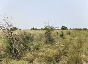 8 Plots of Land for Sale-Paradise City, Central University