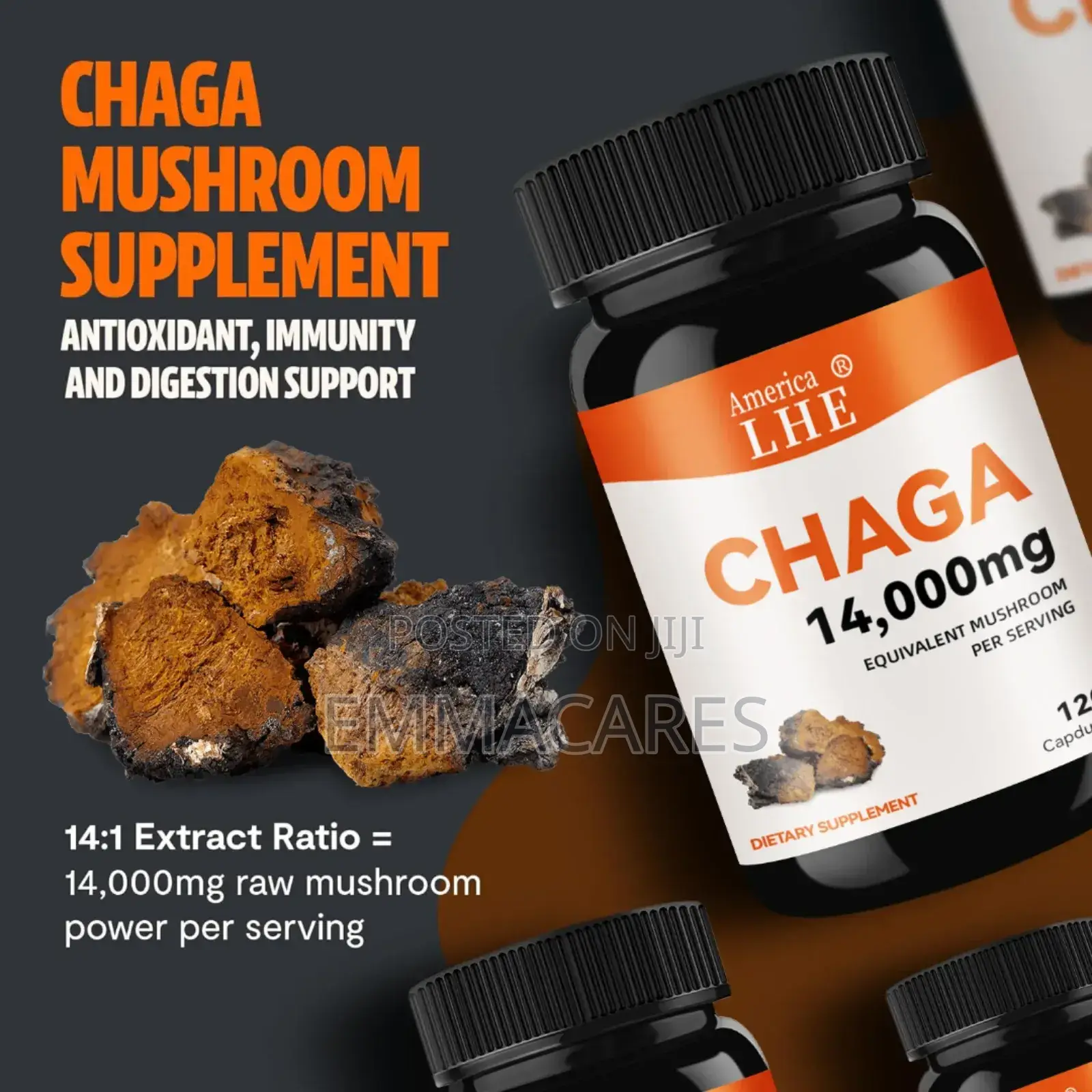 Chaga Mushroom Supplement