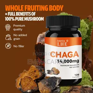 Chaga Mushroom Supplement