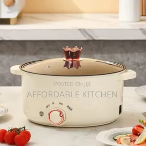 Electric Cooking Pot