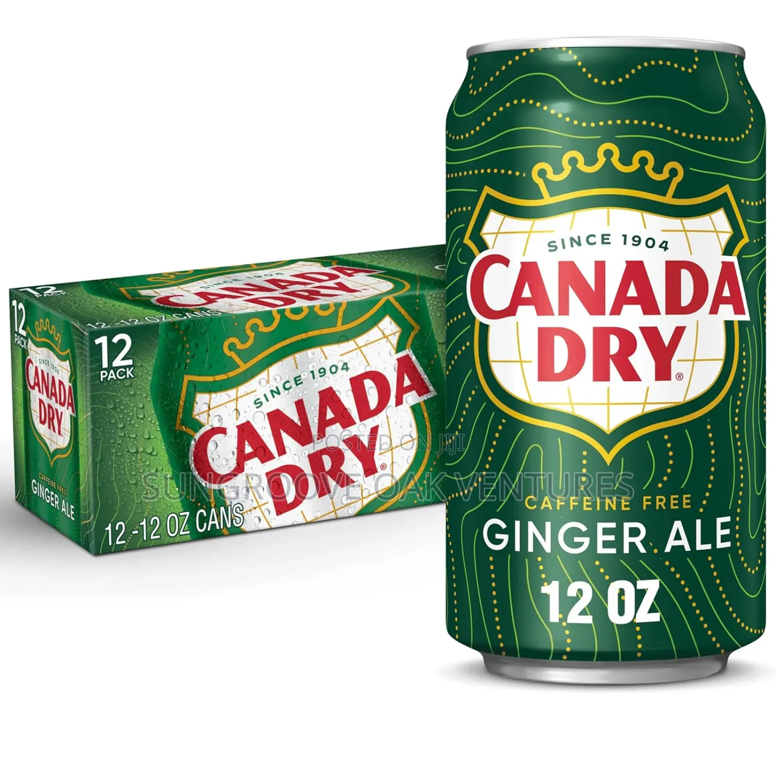 Canada Dry Soda Can