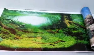 Aquarium Background