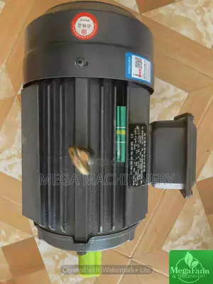 Conveyor Motor