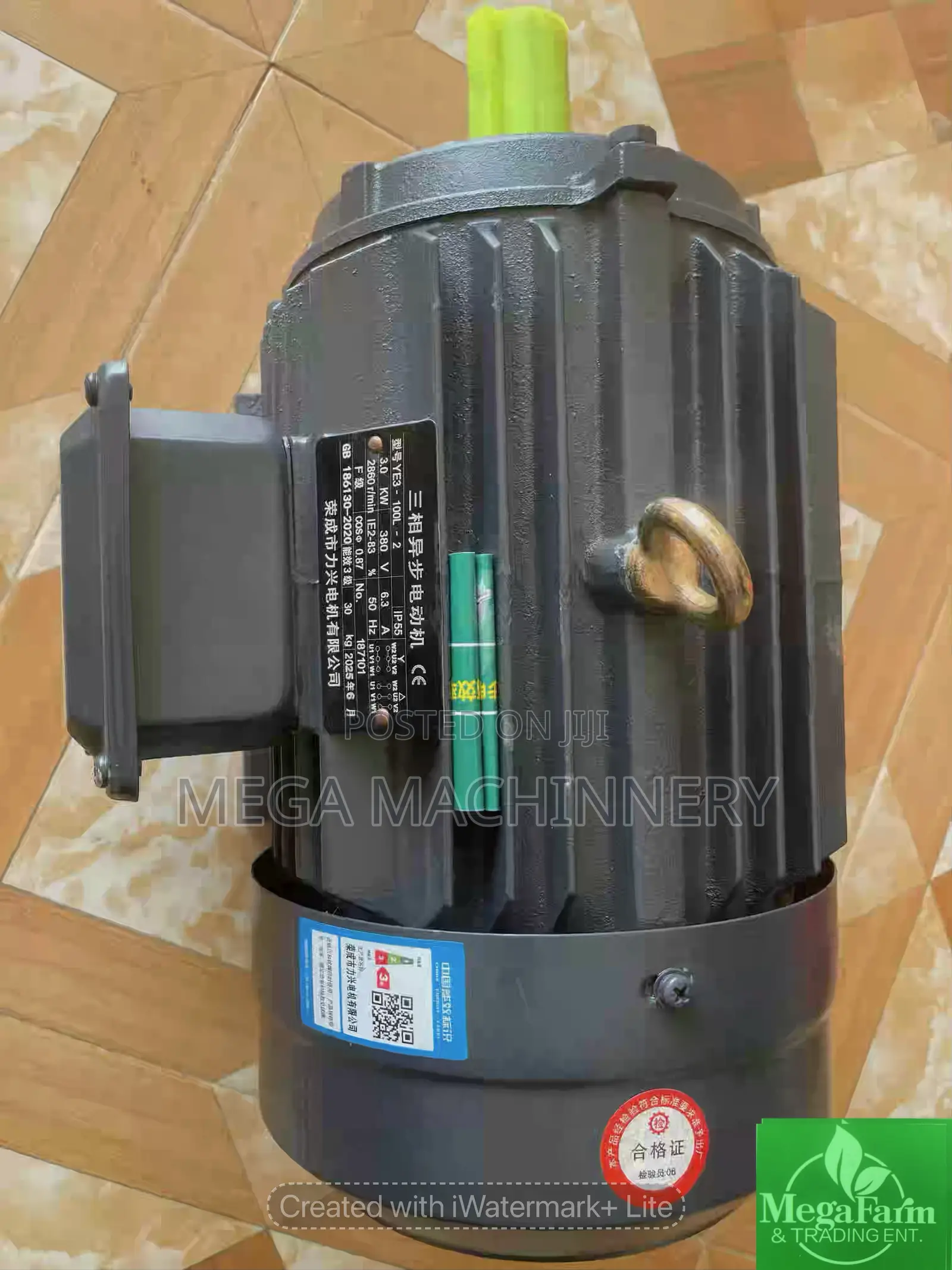 Conveyor Motor