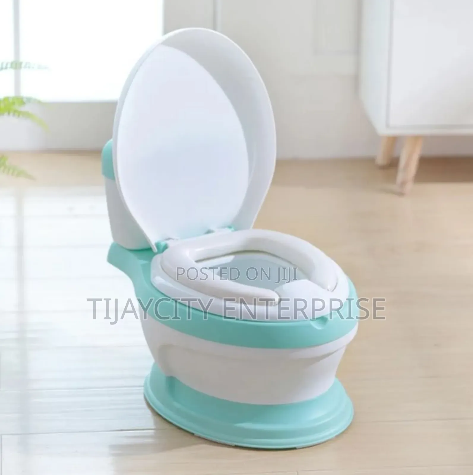 Potty Training Seater