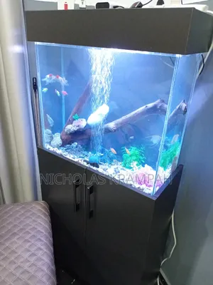 Aquarium Tank