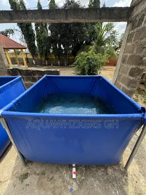 Start Your Catfish Farm Business With Us