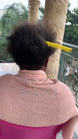 Sisterlocks/ Microlocks