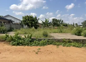 One Plot for Sale