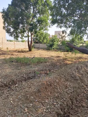 2 Plots Already Fenced Close to the Chief Palace for Sale