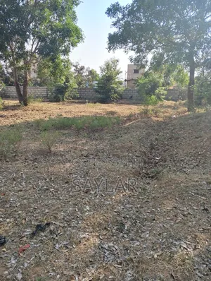 2 Plots Already Fenced Close to the Chief Palace for Sale