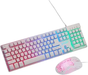 Skytech Gaming Classic RGB Gaming Mouse Keyboard Combo