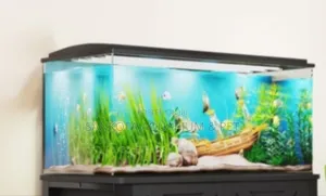 Aquarium Fish Tank With Accessories