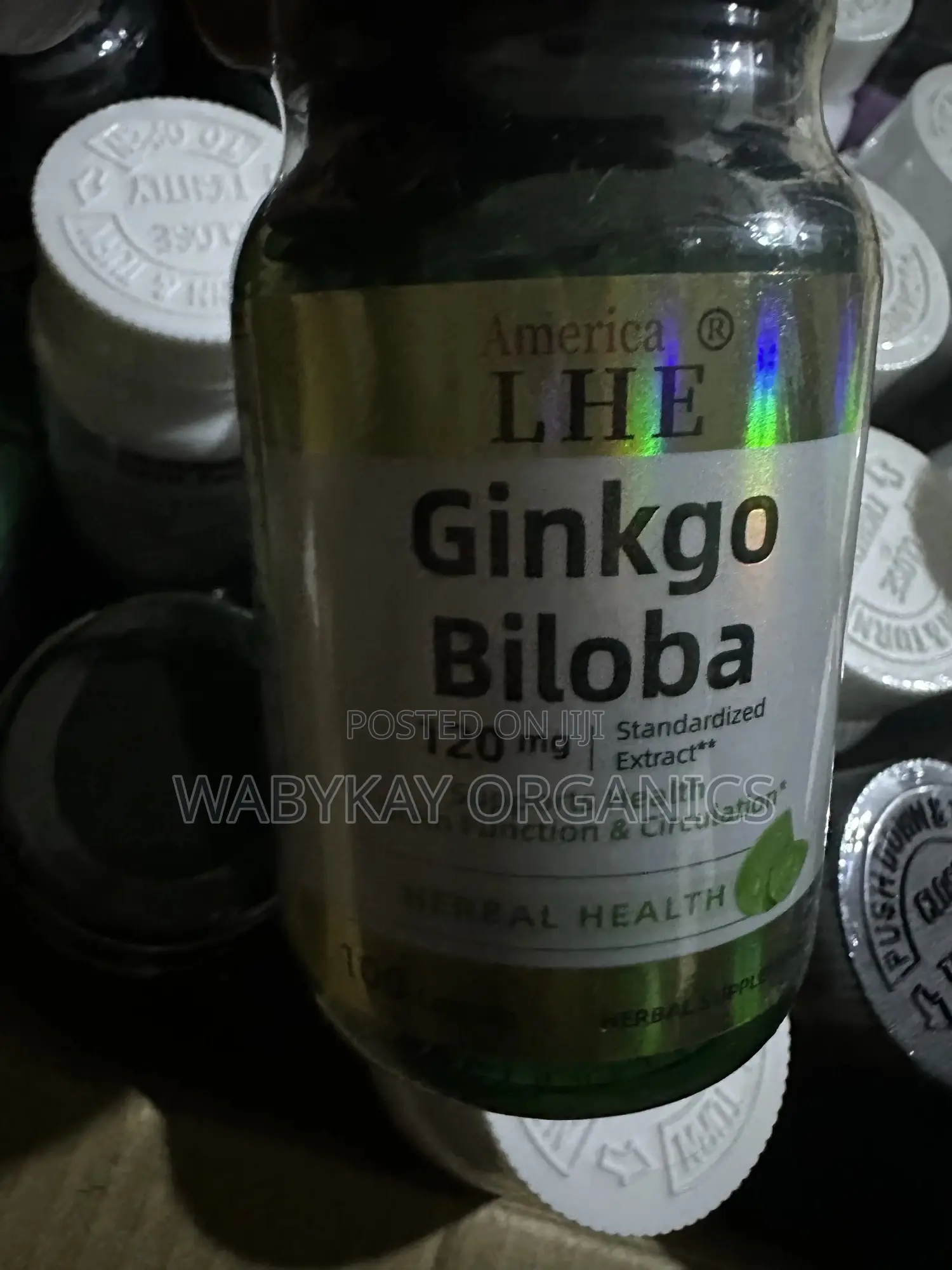 Ginkgo Biloba