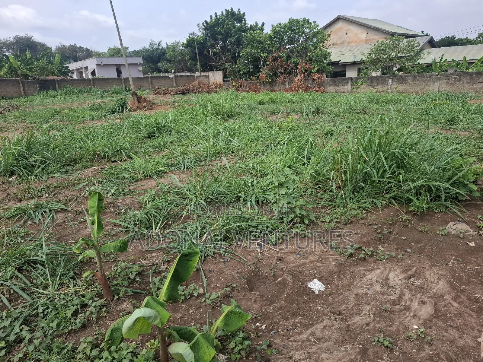 One Full Plot of Land for Sale in Ahodwo Daban