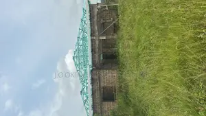 Trusses Installation