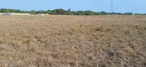 Limited Plots at Tsopoli