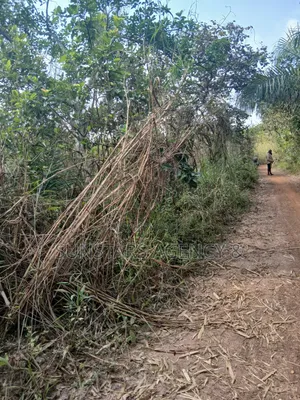 Farm Land for Sale at Wegbe,Hohoe