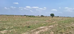 Tsopoli Airport City Plots