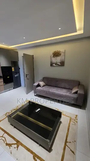 Furnished 1bdrm Condo in North Legon for rent
